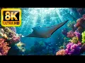 Download Lagu Underwater World 8K ULTRA HD – Marine Life, Sea Animals and Coral Reef 8K #8K #ANIMAL #OCEAN