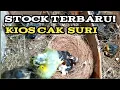 Download Lagu Stock Terbaru! Kios cak suri