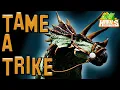 Ark How To Tame A Trike - Ark Survival Evolved