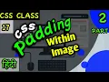 CSS PADDING TUTORIAL IN HINDI PART 2 HOW ADD PADDING WITHIN IMAGE BY NJTECH