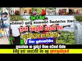 Download Lagu ත්‍රස්‍යජනක හා සුන්දර මතක සටහන් එක්ක - නැගෙනහිර විහාරස්ථාන 20කට ප්‍රත්‍ය පහසුකම් රැගෙන අපේ පදනම