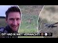 Download Lagu #361: KOEKOEK een HOP! | Sony A7 IV