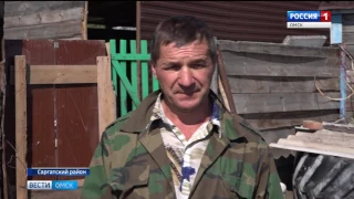 В селе Верблюжье официально сняли  карантин по африканской чуме свиней