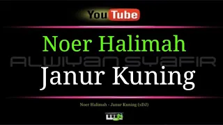 Download Karaoke Noer Halimah - Jamur Kuning (Dj) MP3