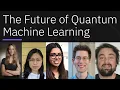 The Future of Quantum Machine Learning