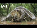 Lagu ANACONDA | The Hidden Giant that Rules the Swamps of the Amazon - Wildlife Documentary