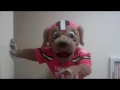 WWE WrestleMania 33 Orlando Promo - Chomps of Cleveland Browns