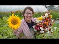 Flowerfarm Sunflower Haul Sunflower Selections Unboxing