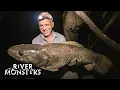 Download Lagu River Monsters Full Episode - Season 3, Episode 7 - Jungle Killer