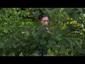 A Single Mother Defies a Dangerous Criminal to Save a Young Man's Life!
