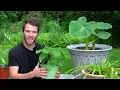 Here's Why Your Plants Are Growing So SLOWLY 🐌
