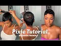 Yet Another Pixie Tutorial for BEGINNER S Minimum Steps
