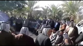 الربايع دندنها