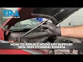 How to Replace Hood Lift Support 2015-2019 Hyundai Sonata