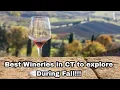 Best Wineries in CT to explore this winter