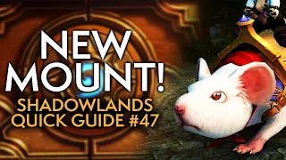 Download Your Shadowlands Weekly Guide #47 MP3