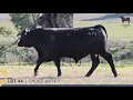 Lot 44 - CHOICE W474