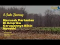 Lagu Ketika 400 Juta Burung Liar Menyerbu Ladang:  Petani Amerika\