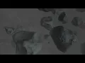 Vendetta Online's Basic Flight and Combat Mechanics