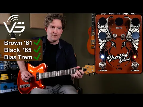 ギター VS Audio Blackbird Deluxe Preamp Tremolo Vs Audio BlackBird Deluxe Drive + Tremolo | Delicious Audio