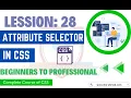 CSS Tutorials for Beginners CSS Advanced Selectors Attribute Selectors Tutorial in Hindi Urdu