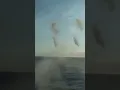 How the German NAVY distracts missiles from their ships