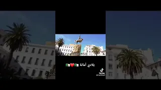 بلادي أمانة لايك فولو  بلادي أمانة لايك فولو