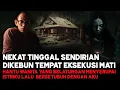BENERAN HOROR ‼️ NGEBAYANGIN NYA AJA SUDAH NGAK KUAT APALAGI SAMPAI TERJADI