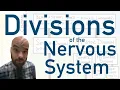 Divisions of the Nervous System - How we divide up the system to better understand it