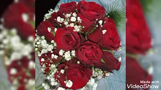 كل حب وانت طيب صباح 