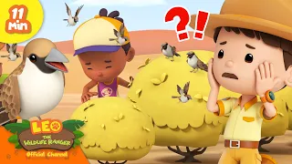 Junior Rangers Help these Sociable Weavers Build their HOME! Full Episode | Leo the Wildlife Ranger