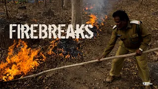 Firebreaks