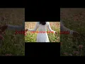 Download Lagu @yuyulchannel7683 Oh Dimana D'Lloyd#shorts