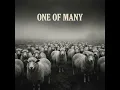 one of many - RebornBeat