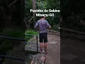 Download Lagu Pocinho do Sabino Minaçu-GO