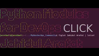 python cli script