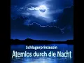 Atemlos durch die Nacht