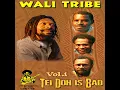 Download Lagu Wali Tribe Vol.1_Julie (PNG Music)