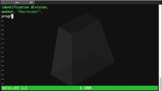 COBOL Hello World in 30 Seconds