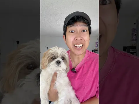 They Made My Dog Sad