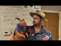 Currency Conversion - GBP To AUD Example