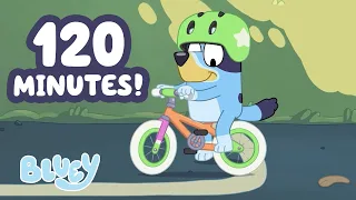 🔴 LIVE: Bluey rides a BIKE for the FIRST time!💙🤩🚲 | 2 HOURS | ﻿Bluey