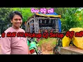 Download Lagu 8 ଲକ୍ଷ ରେ Pickup Dj Setup ବିକ୍ରି ଅଛି || Rama Sneha Vloge || Dj Sell 