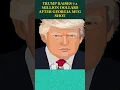 Trump Raises 71 million Dollars After Georgia Mug Shot