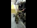 Israeli IDF soldiers dancing to Twerking Like Miley
