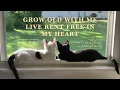 [playlist] grow old with me, live rent free in my heart