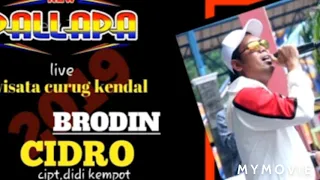 Download Lagu terbaru new pallapa 2019 Brodin CIDRO MP3