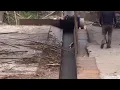 Live Tools make the work easy