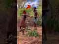 Download Lagu BILA WANITA SUKU PRIMITIF di AFRIKA JATUH CINTA #shorts #short #faktaunik