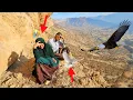 Two nomadic couples go to the mountains for herbal medicine and to find a falcon.